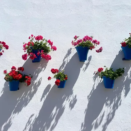 Apartman La Buganvilla Córdoba